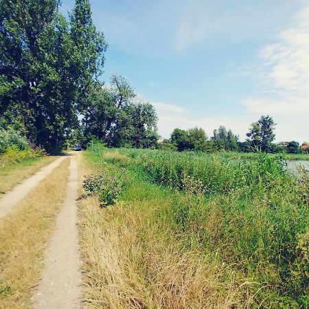 Przy Alei Krakowskiej Lägenhet Raszyn Exteriör bild